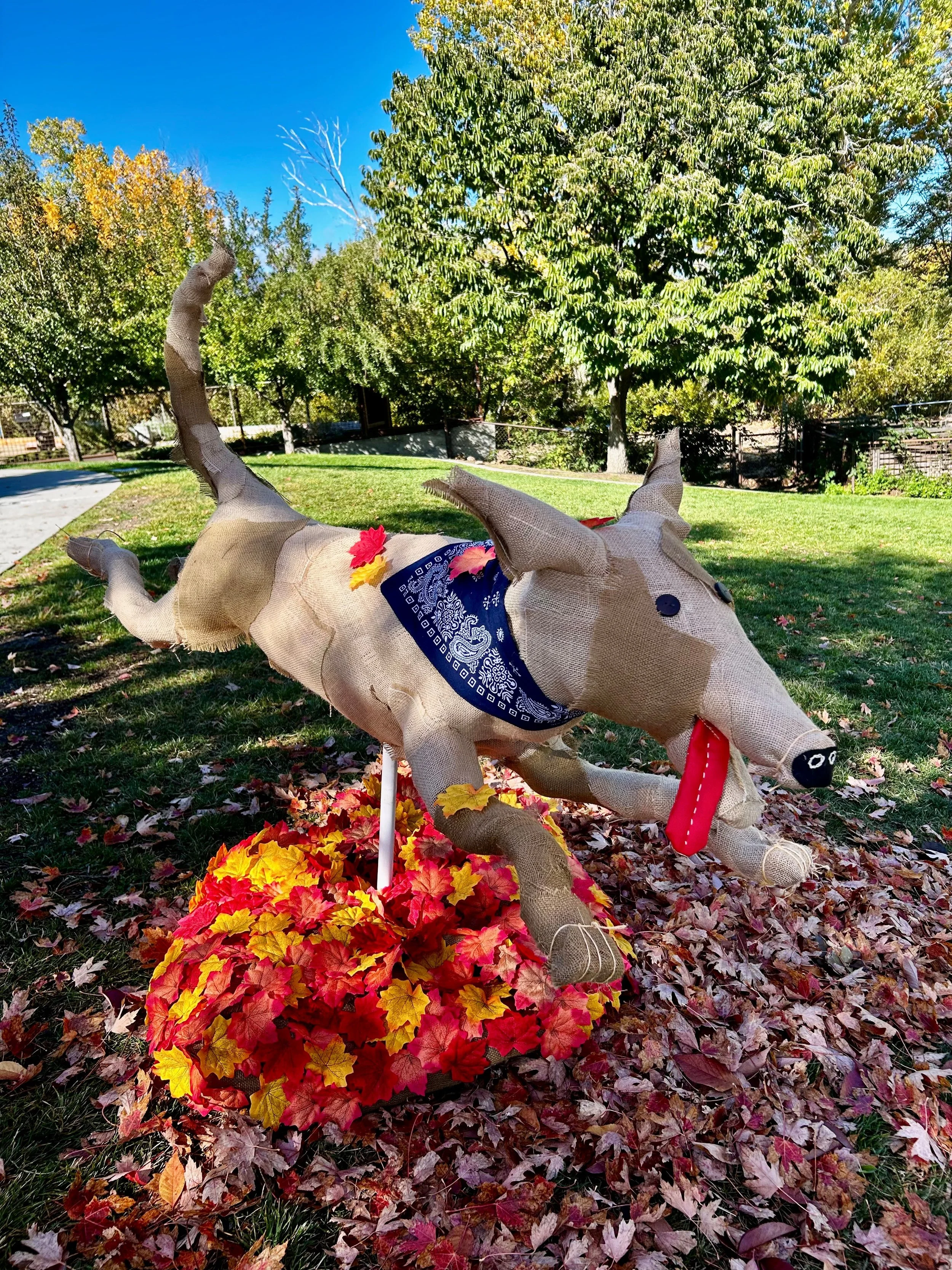 Scarecrows for Good — Mountain View Montessori School